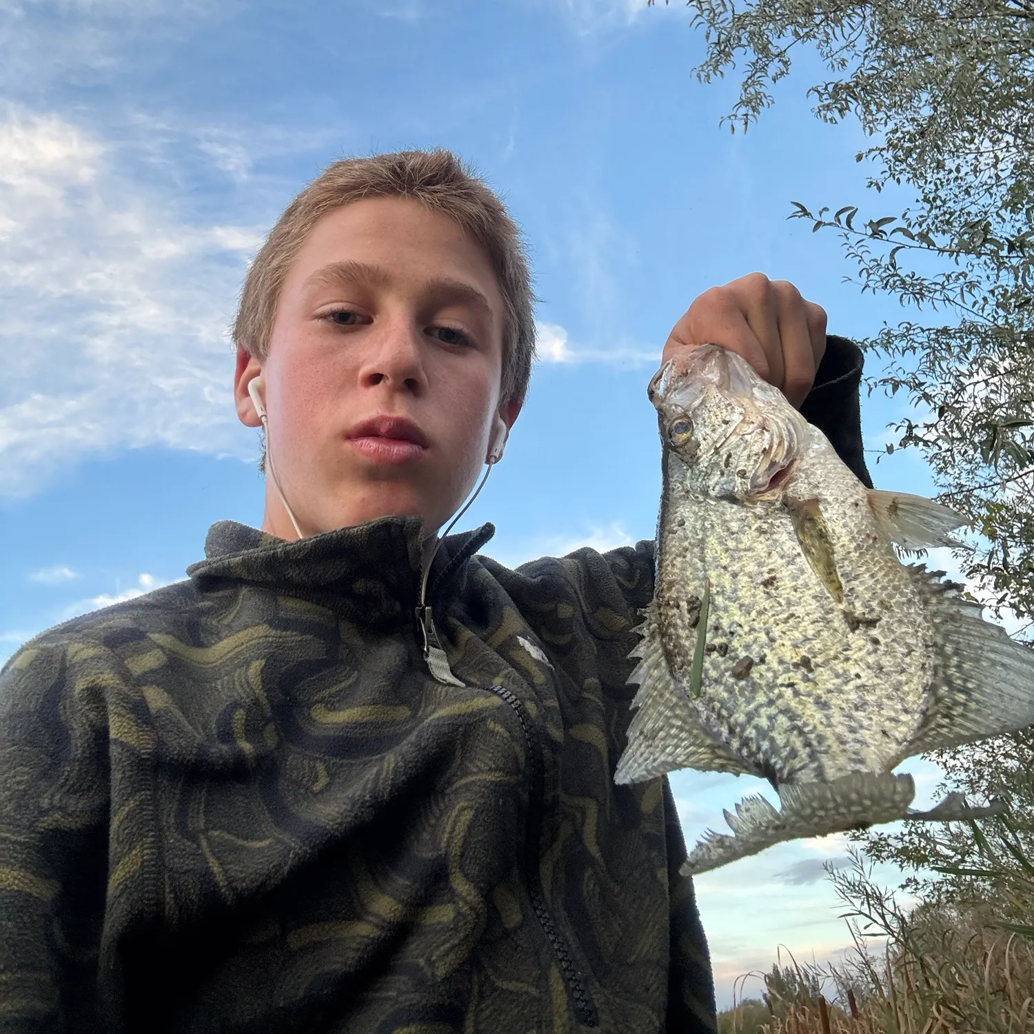 Black crappie caught on Fishbrain