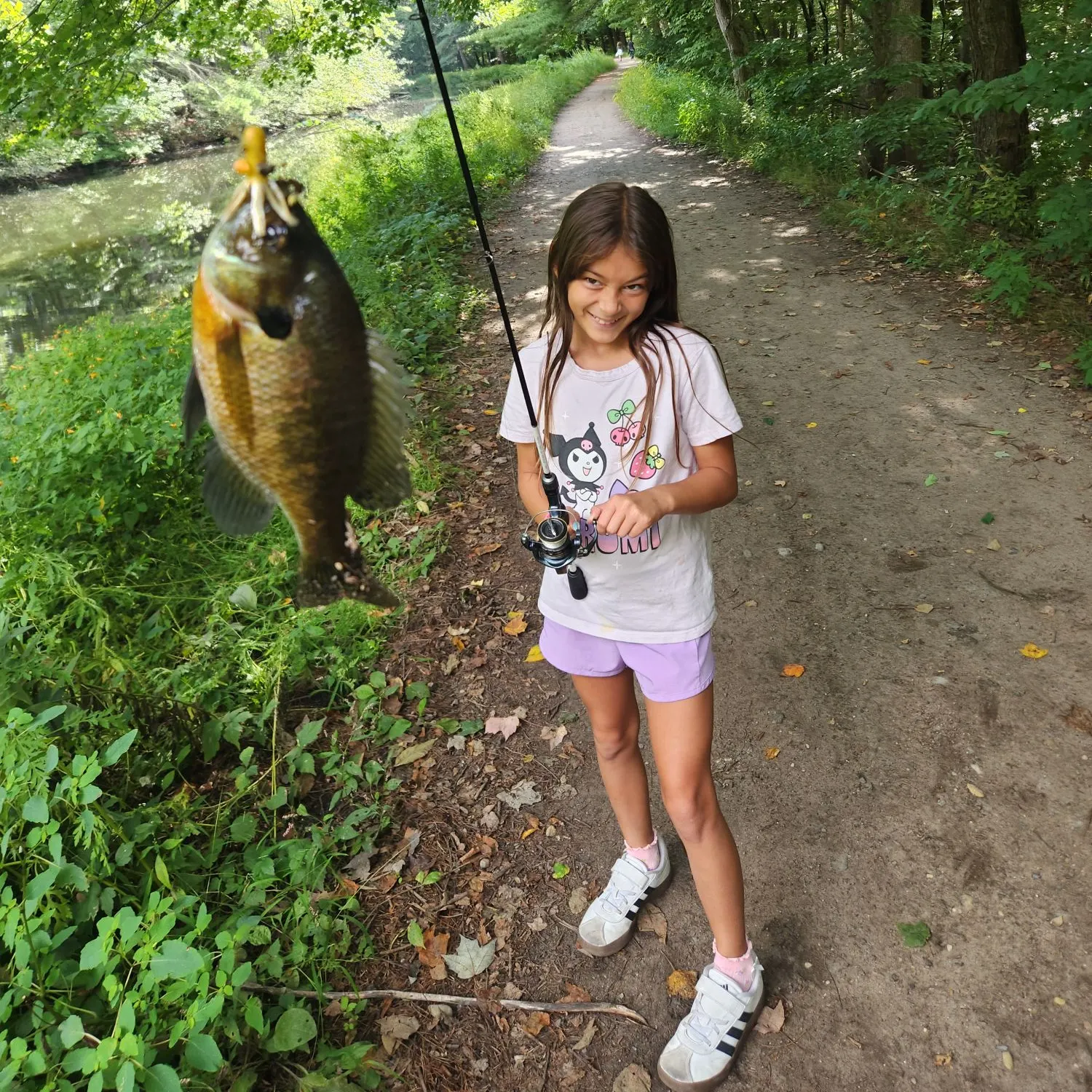 Rock bass caught on Fishbrain