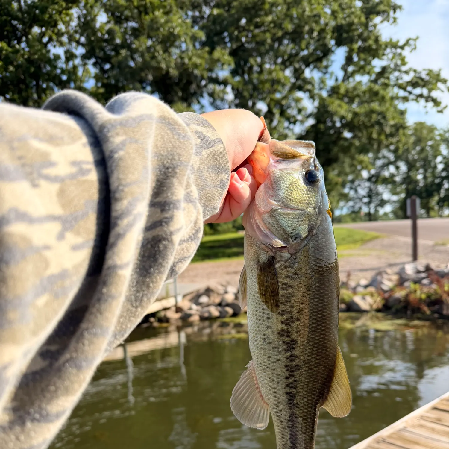 catch