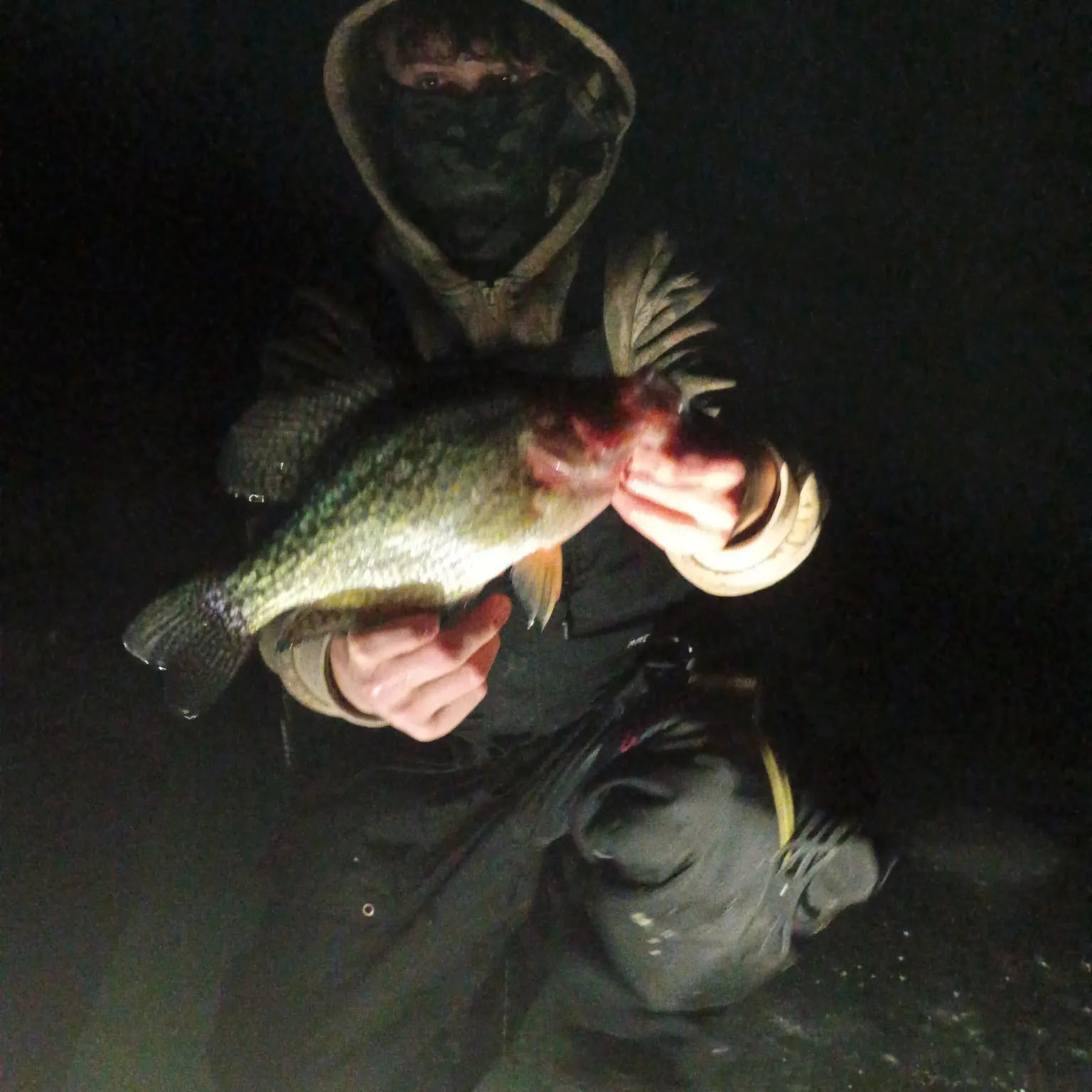 The most recent Black crappie catches on Fishbrain