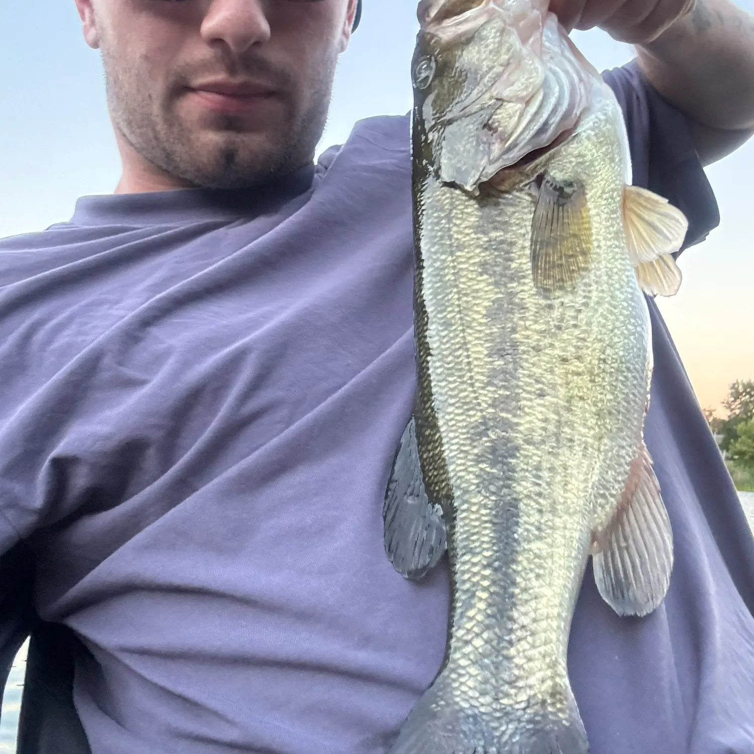 Largemouth bass caught on Fishbrain