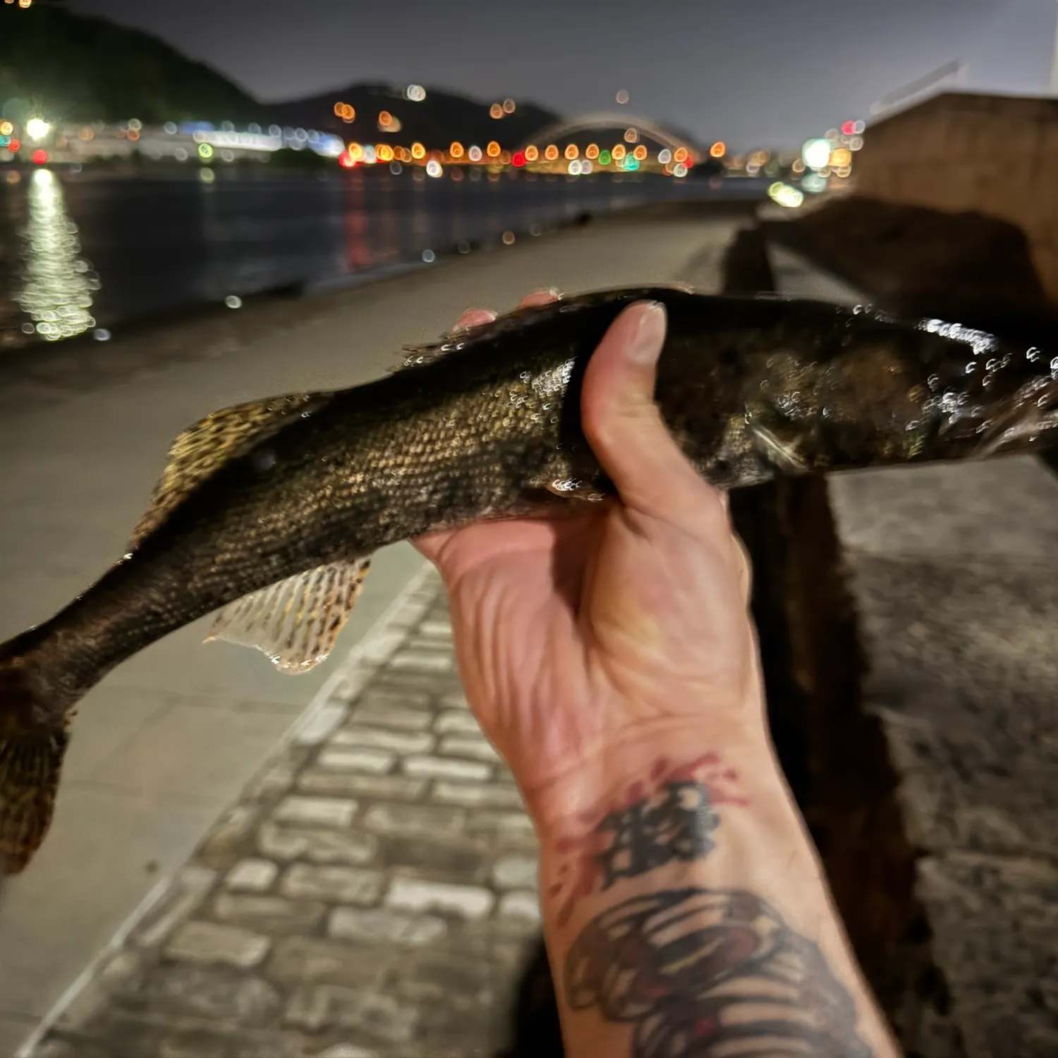catch