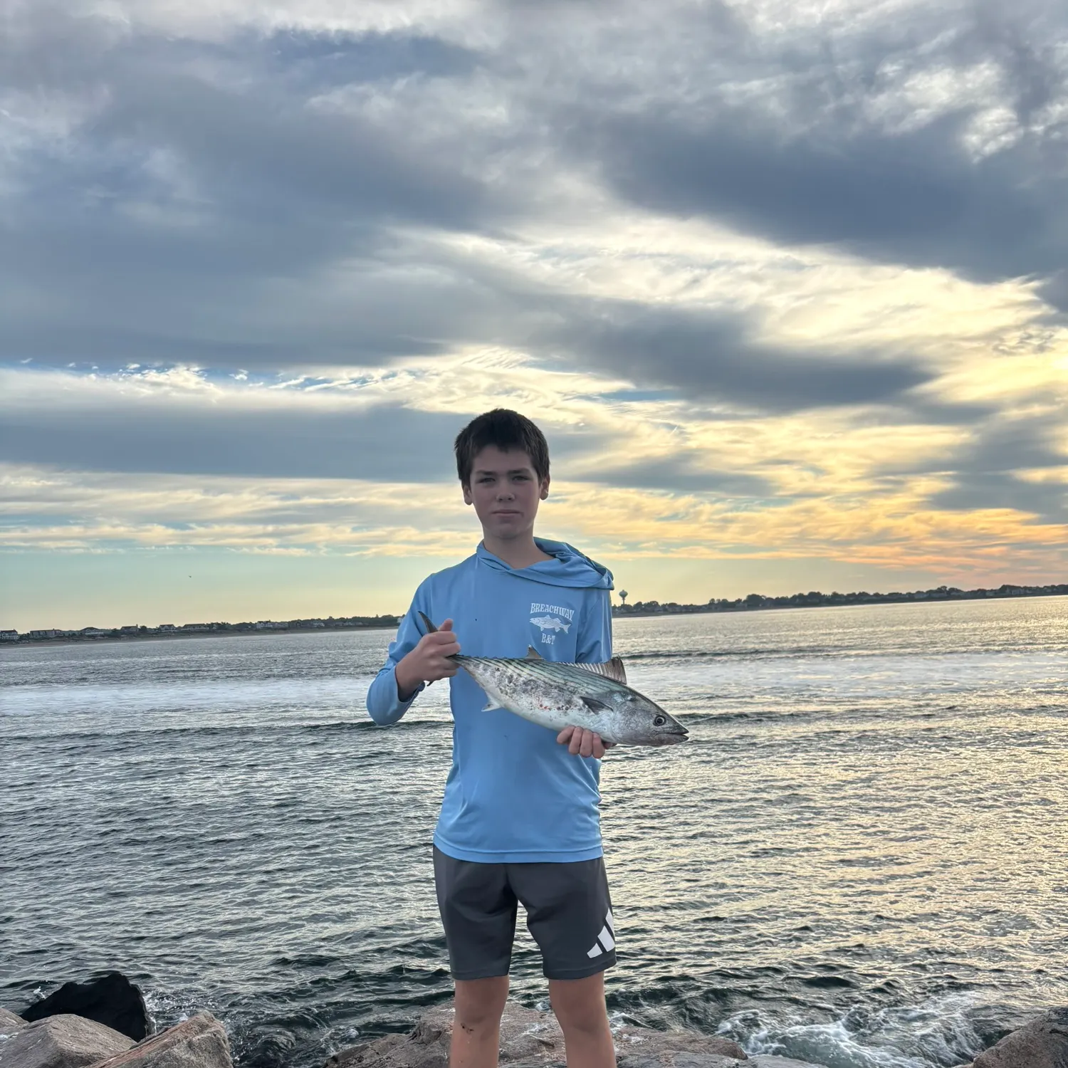 The most recent Atlantic bonito catches on Fishbrain