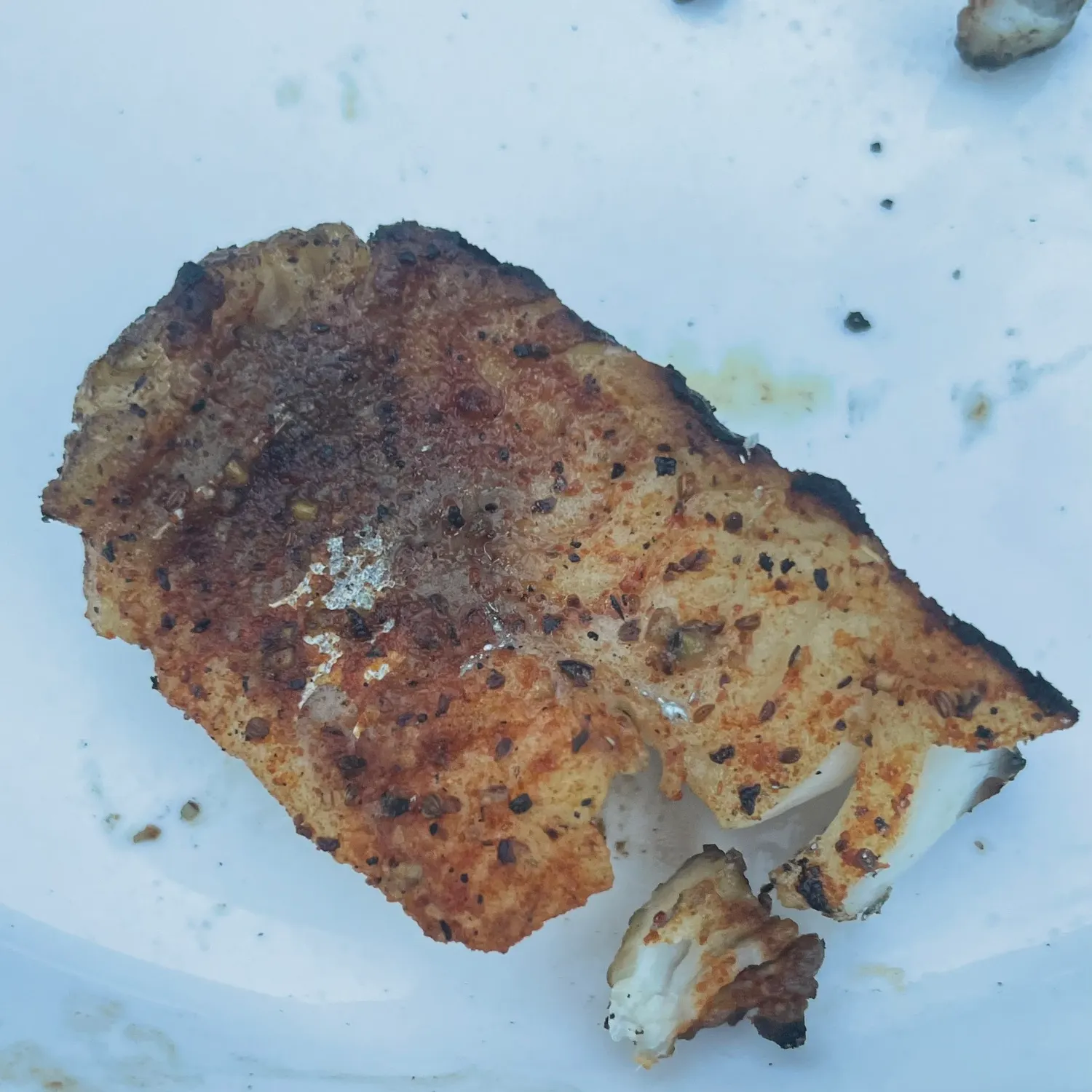 The most recent Northern searobin catches on Fishbrain