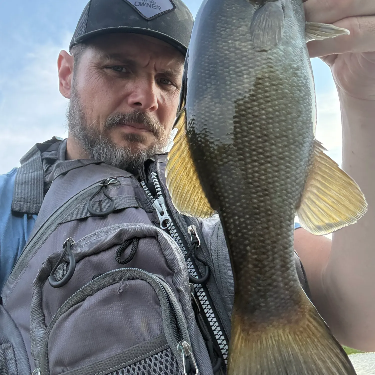 Smallmouth bass caught on Fishbrain