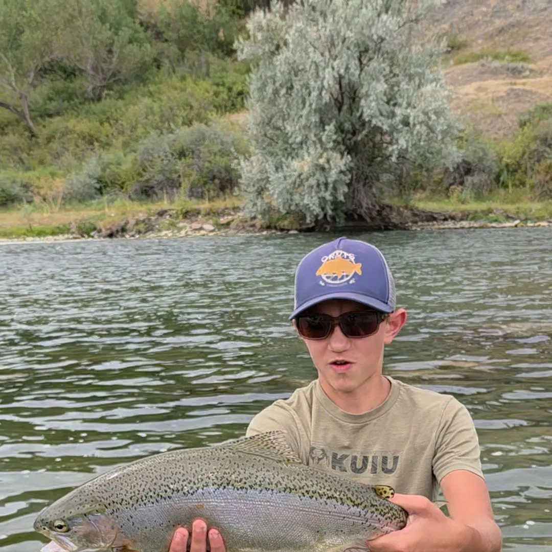 Rainbow trout caught on Fishbrain