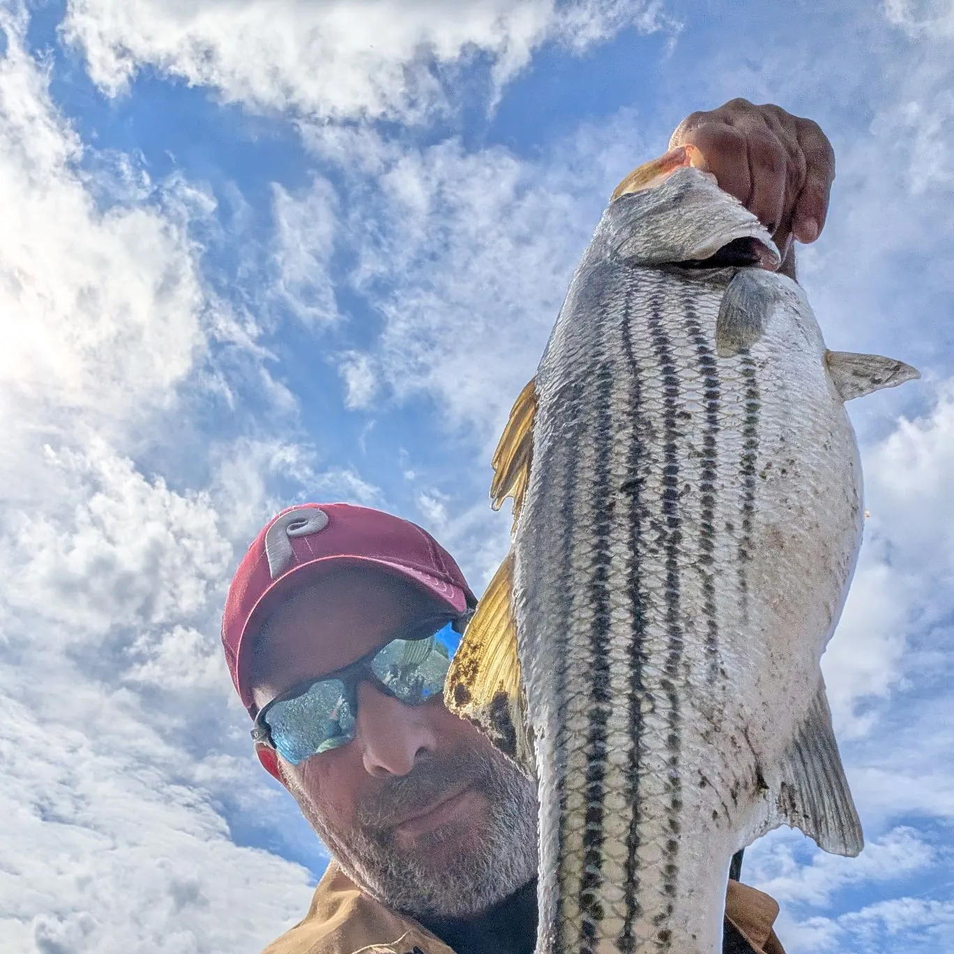 Striped bass caught on Fishbrain