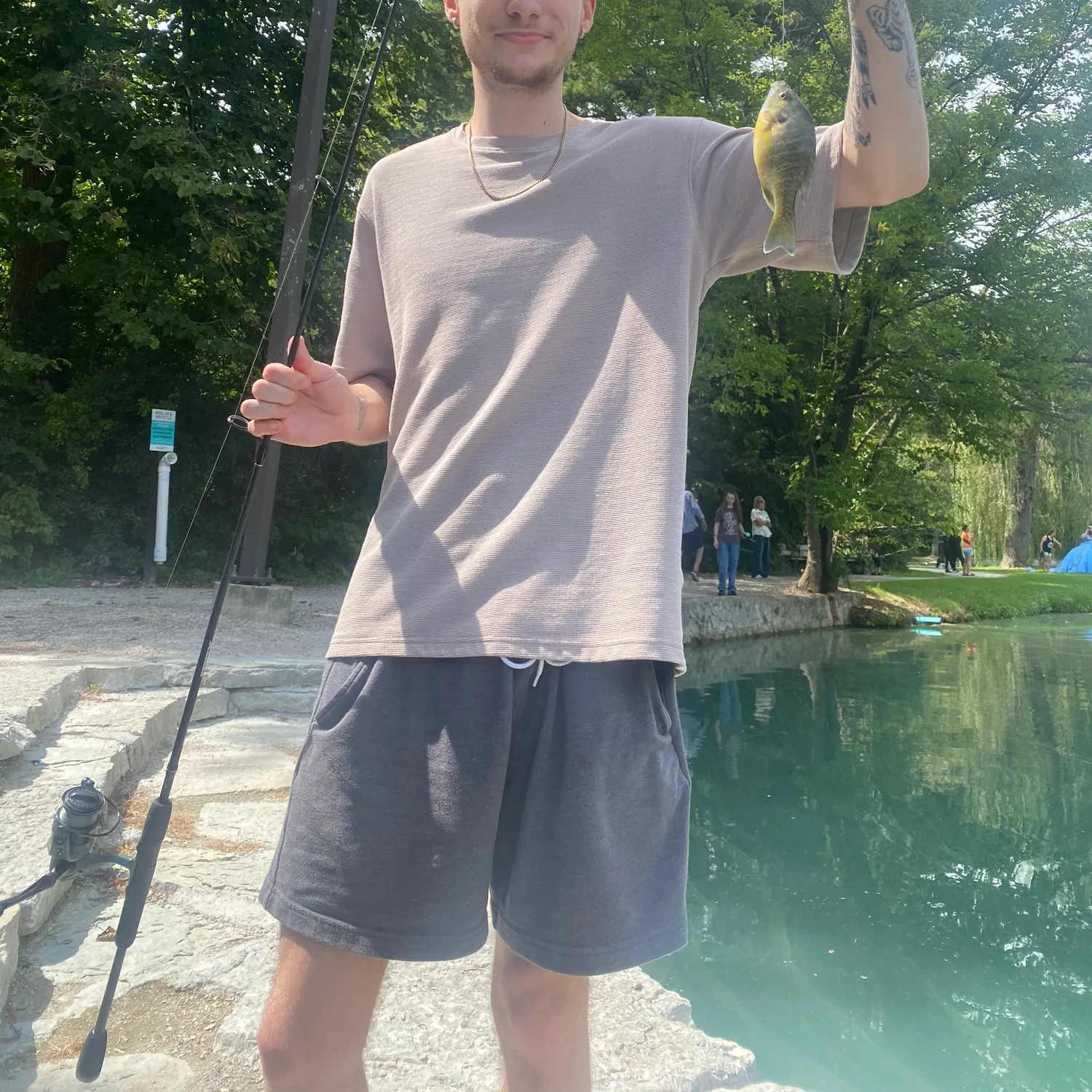 Bluegill caught on Fishbrain