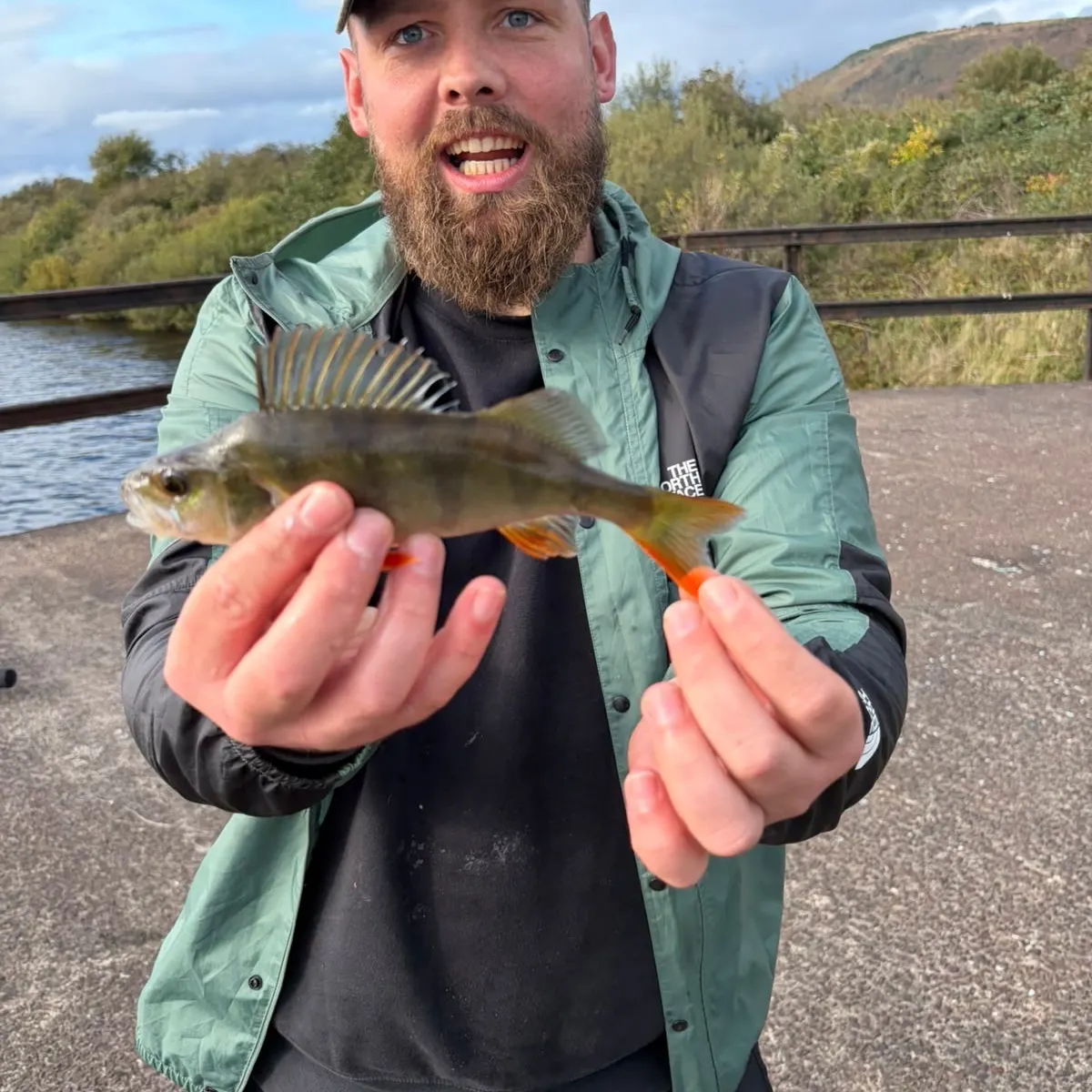 European perch caught on Fishbrain