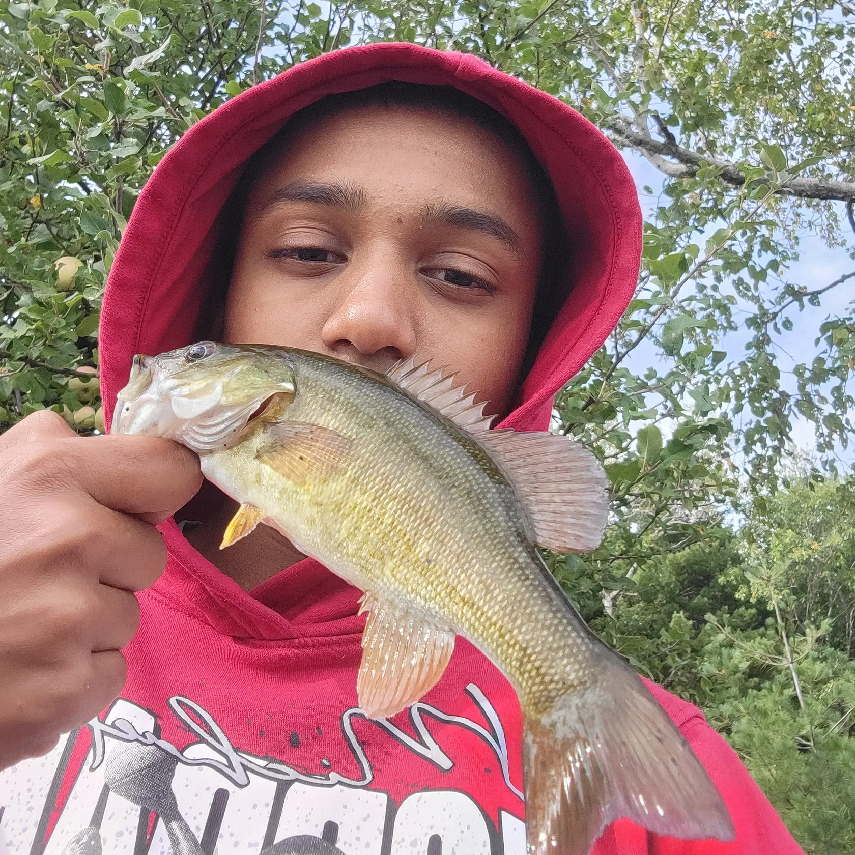 Smallmouth bass caught on Fishbrain