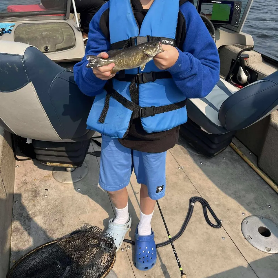 Smallmouth bass caught on Fishbrain