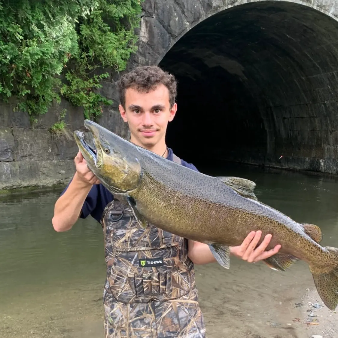 Chinook salmon caught on Fishbrain