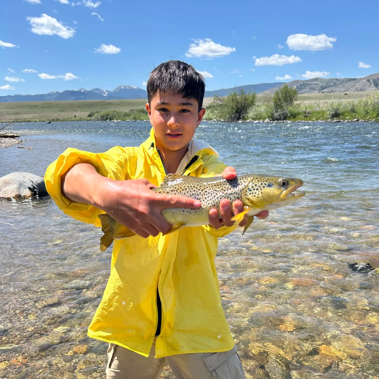 The most recent Brown trout catches on Fishbrain