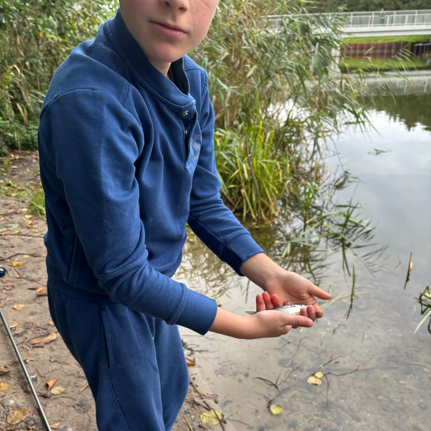 European eel caught on Fishbrain