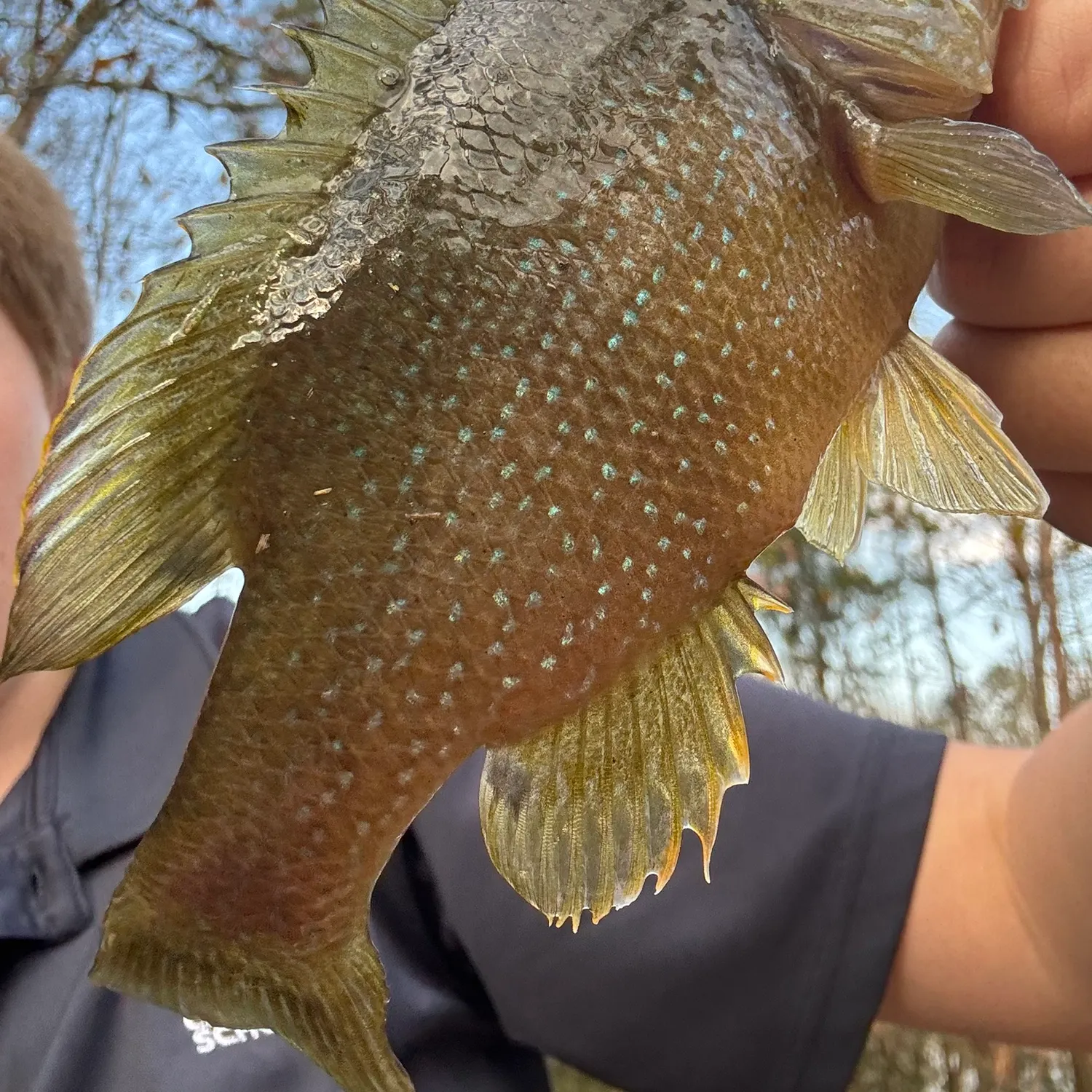 Fish caught on Fishbrain