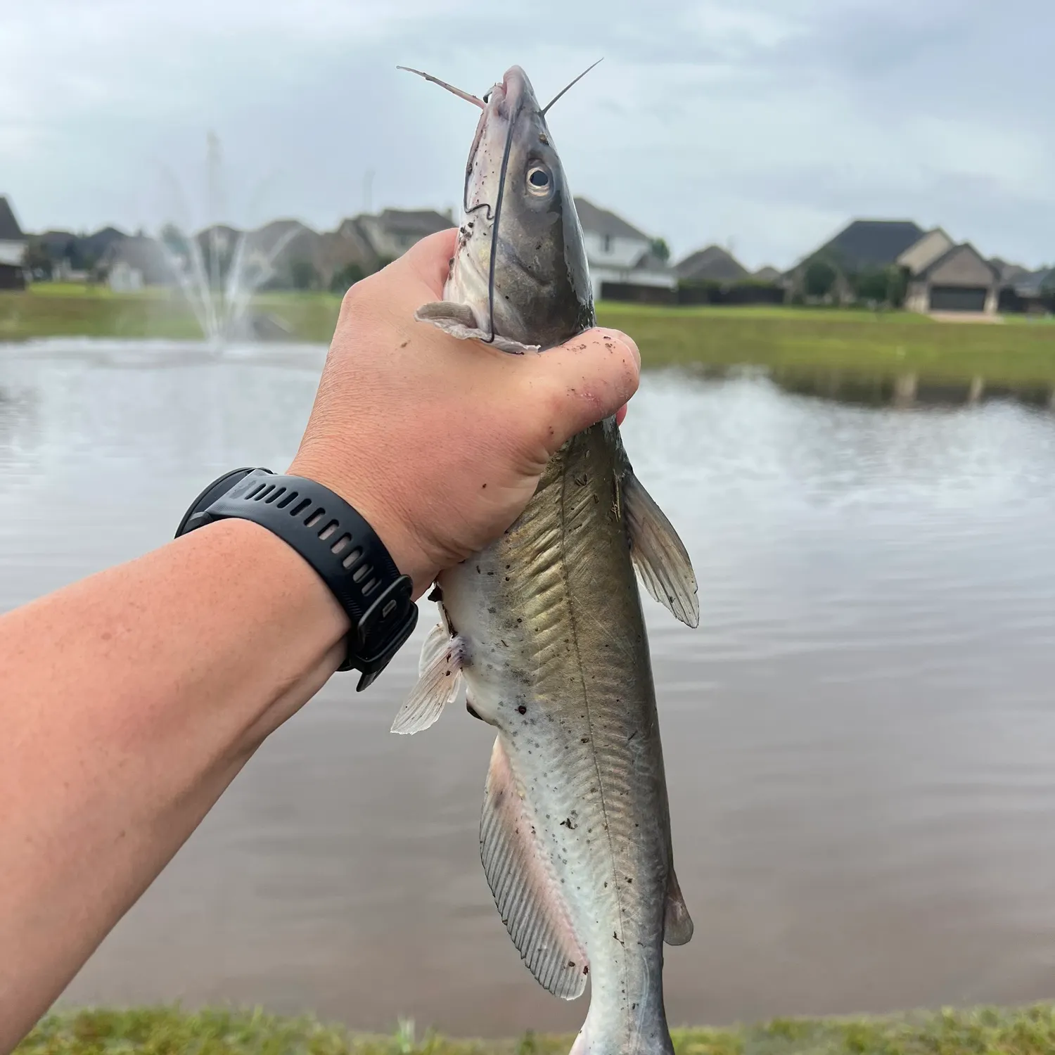 catch