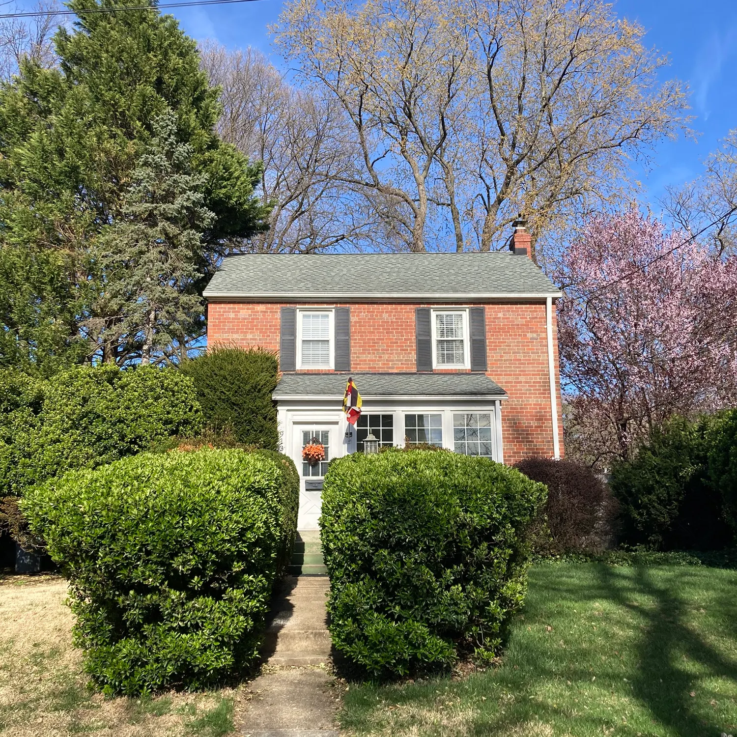 The most recent Northern snakehead catches on Fishbrain