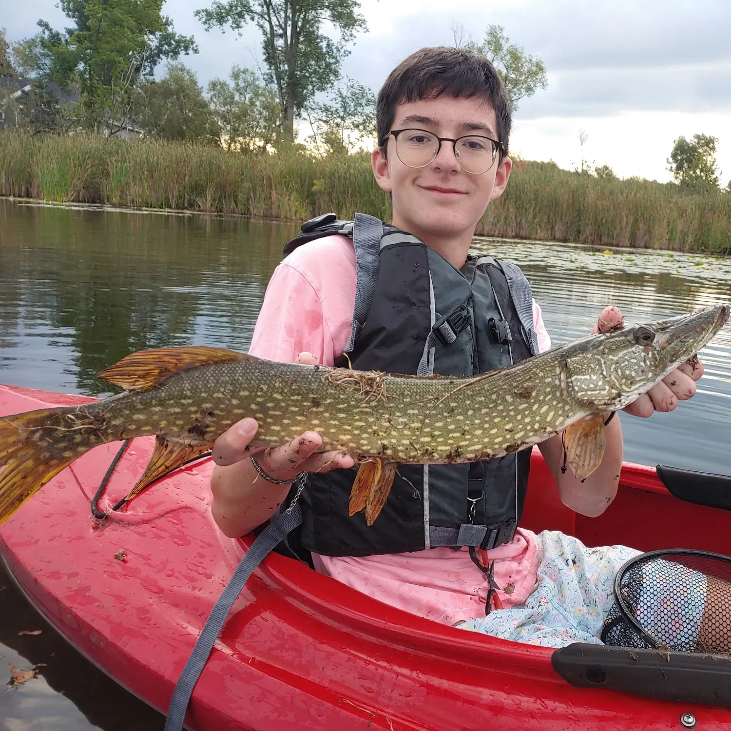 Northern pike caught on Fishbrain