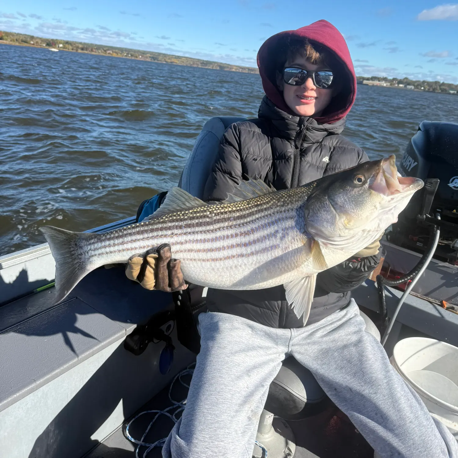 Striped bass caught on Fishbrain