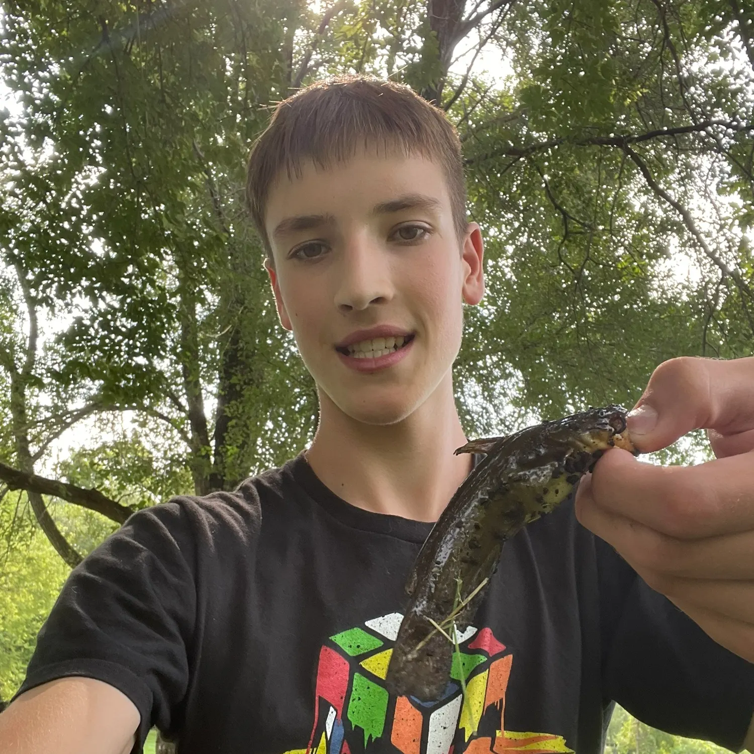 The most recent Yellow bullhead catches on Fishbrain