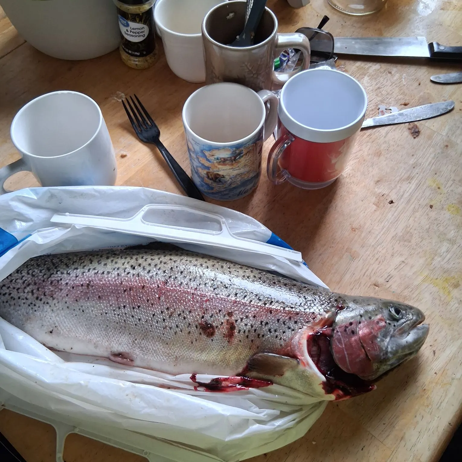 recently logged catches