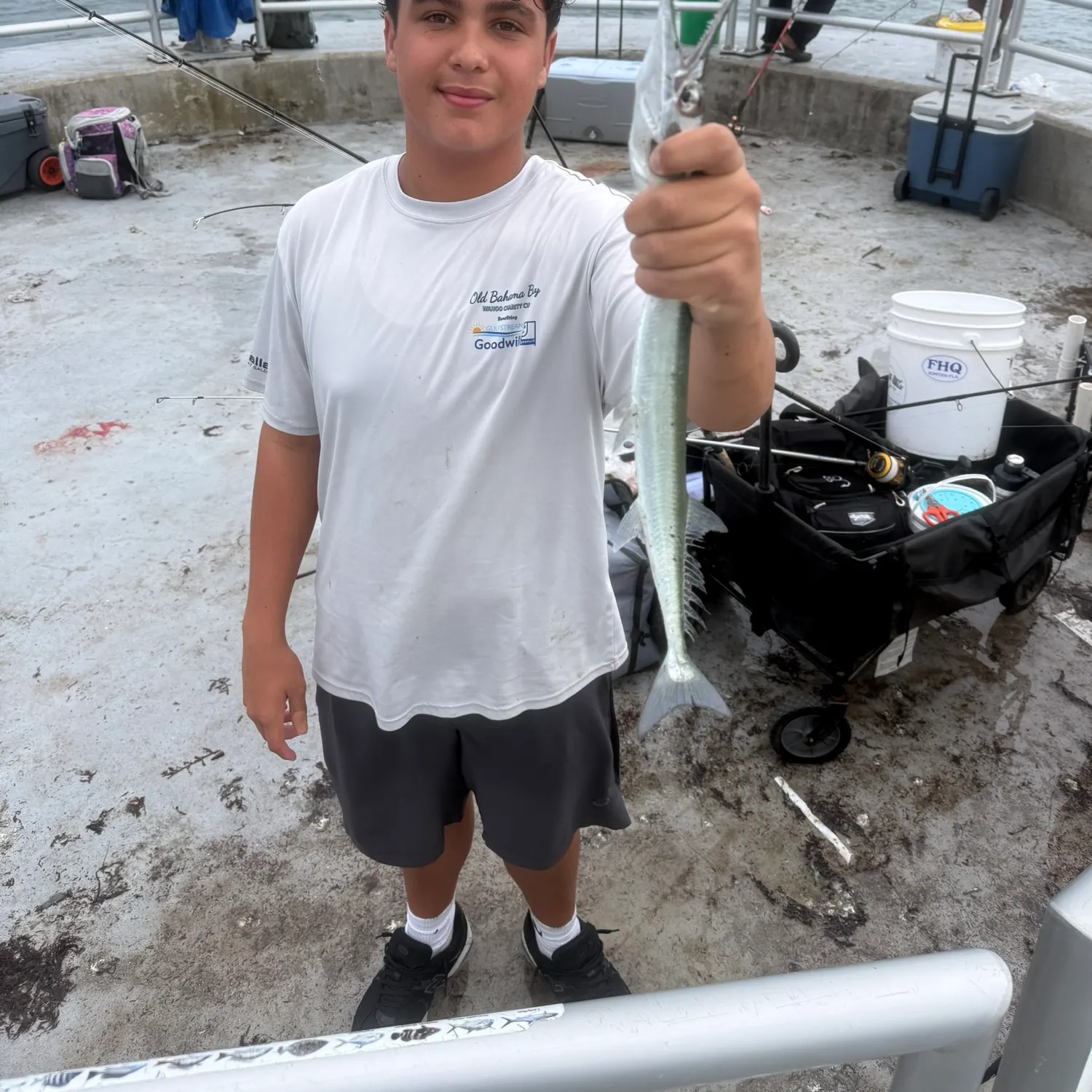 Flat needlefish caught on Fishbrain