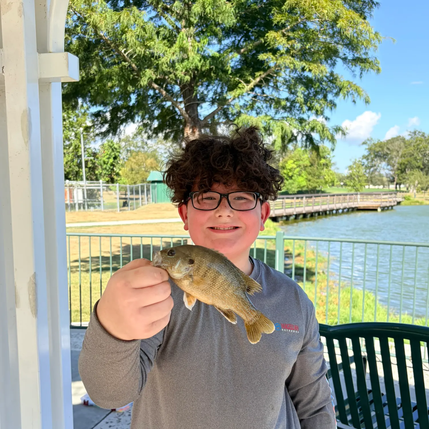 Green sunfish caught on Fishbrain