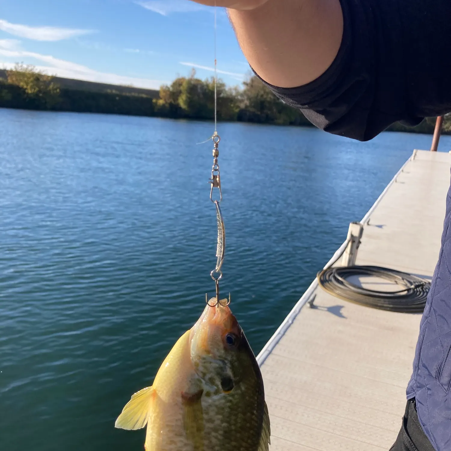Redear sunfish caught on Fishbrain
