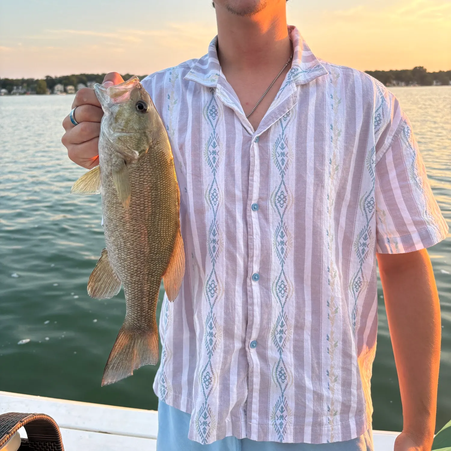 Smallmouth bass caught on Fishbrain