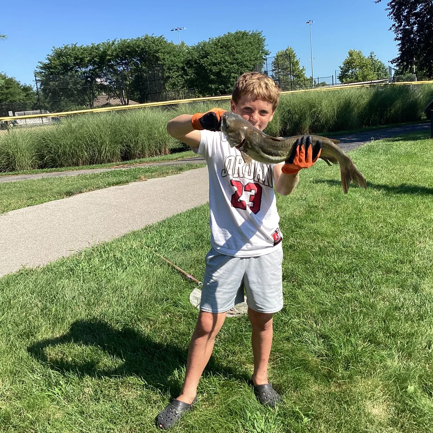 Channel catfish caught on Fishbrain