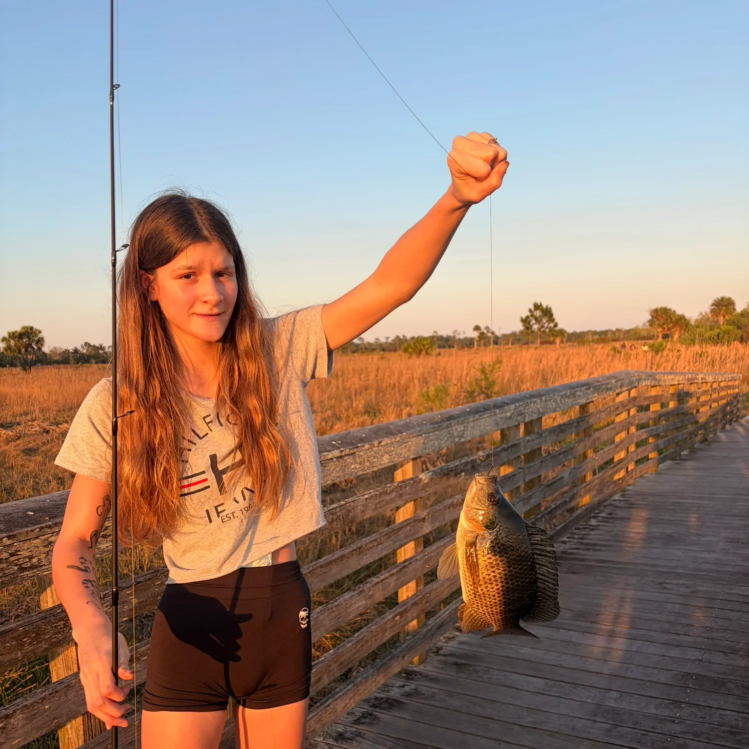 recently logged catches