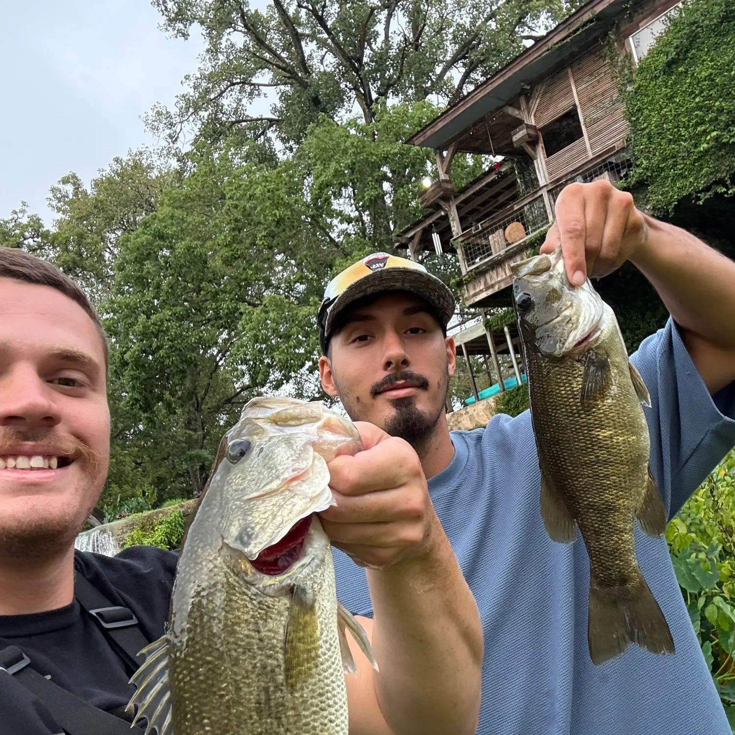Smallmouth bass caught on Fishbrain