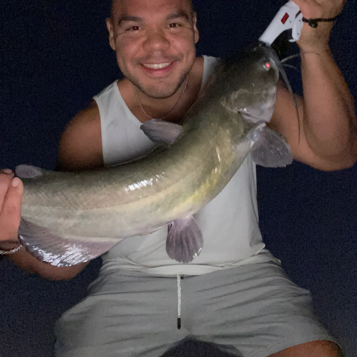 Channel catfish caught on Fishbrain