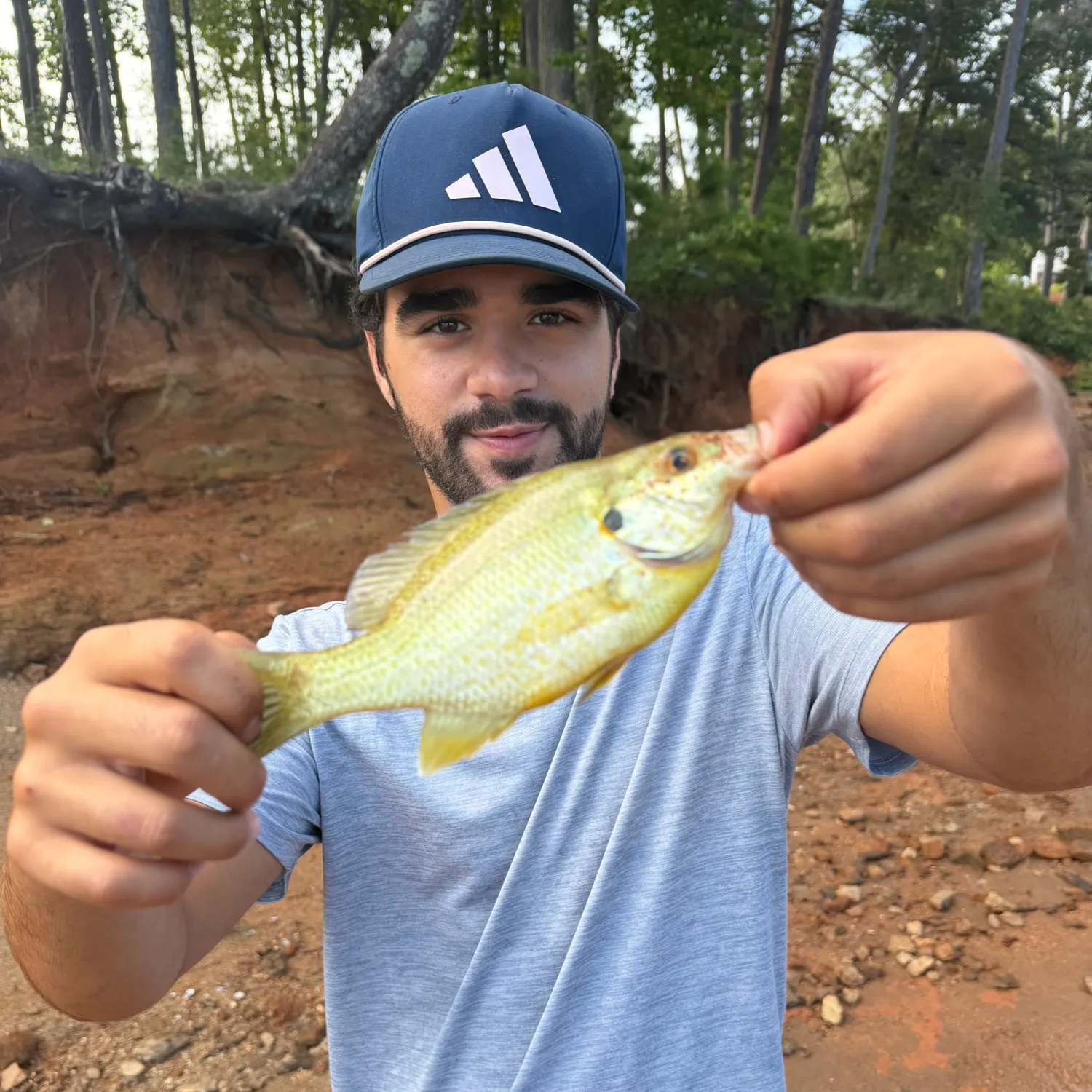 The most recent Orangespotted sunfish catches on Fishbrain