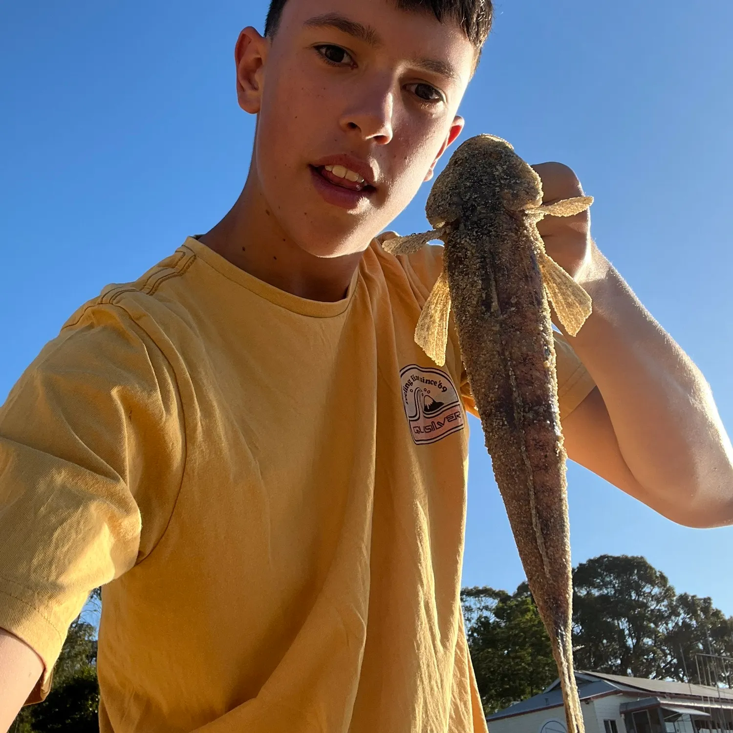 The most recent Bartail flathead catches on Fishbrain
