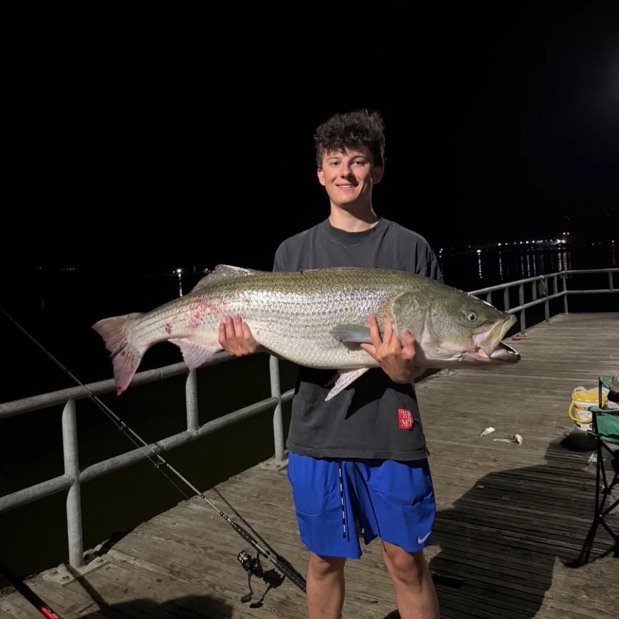 The most recent Striped bass catches on Fishbrain