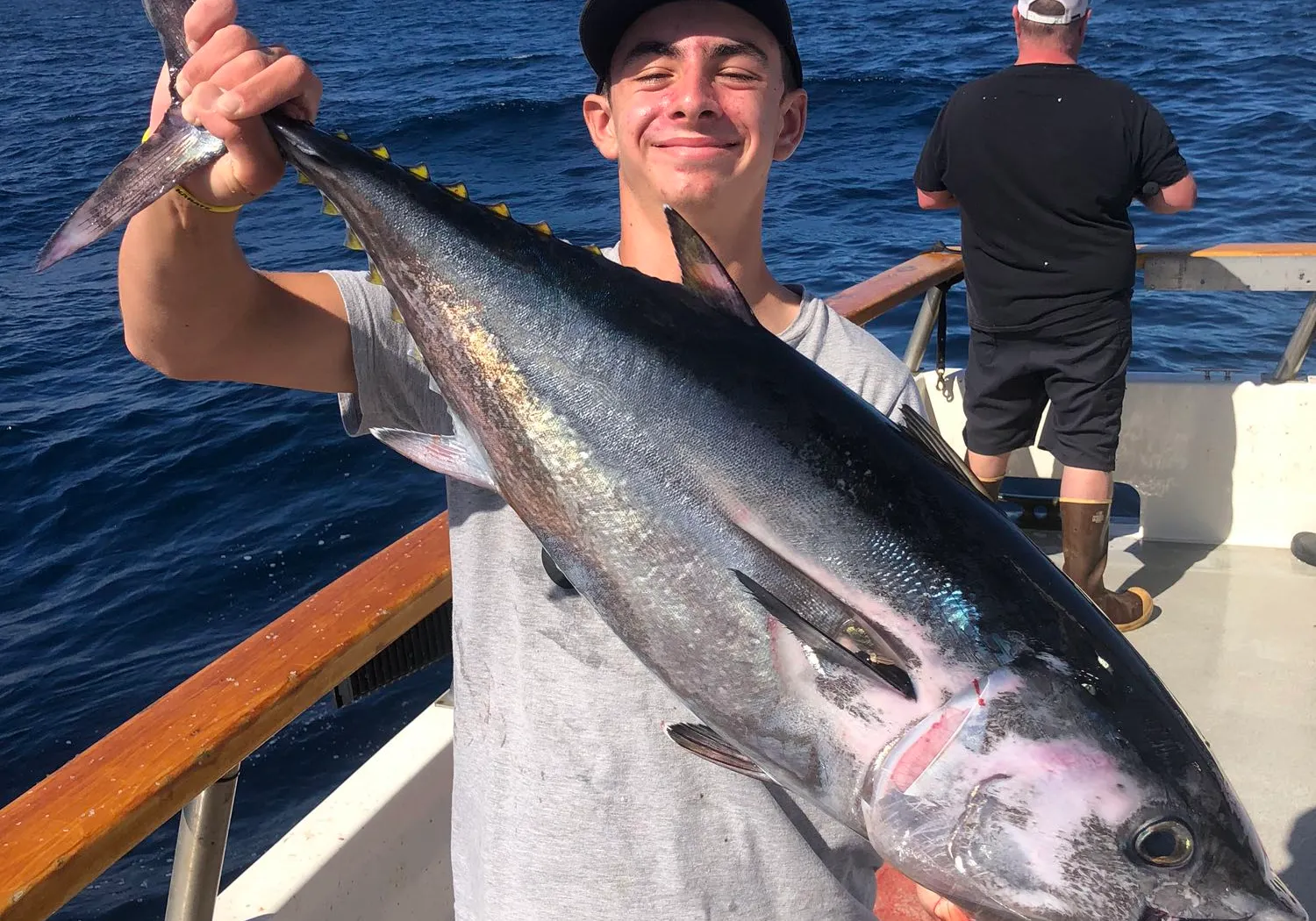 Pacific bluefin tuna