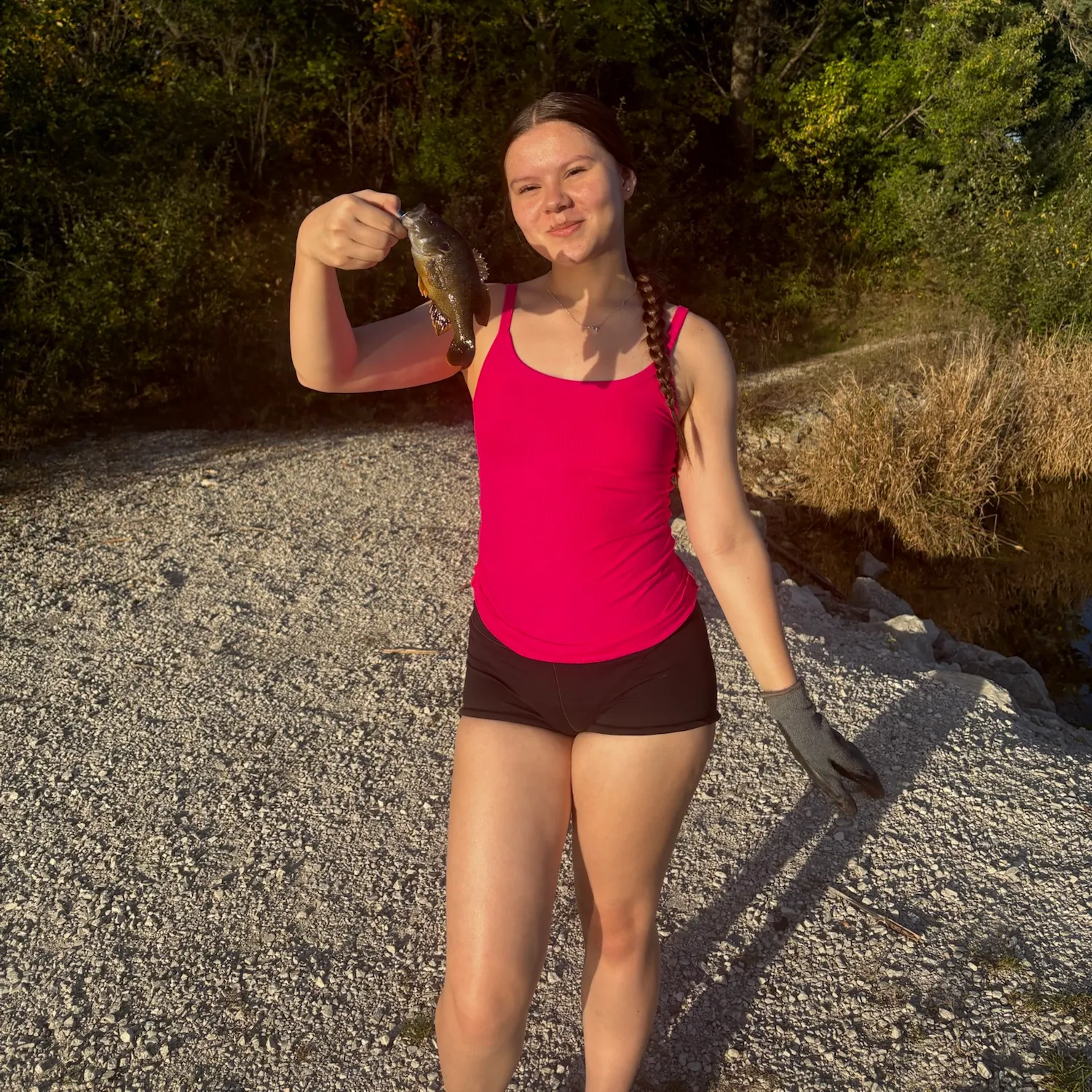 Hornyhead chub caught on Fishbrain