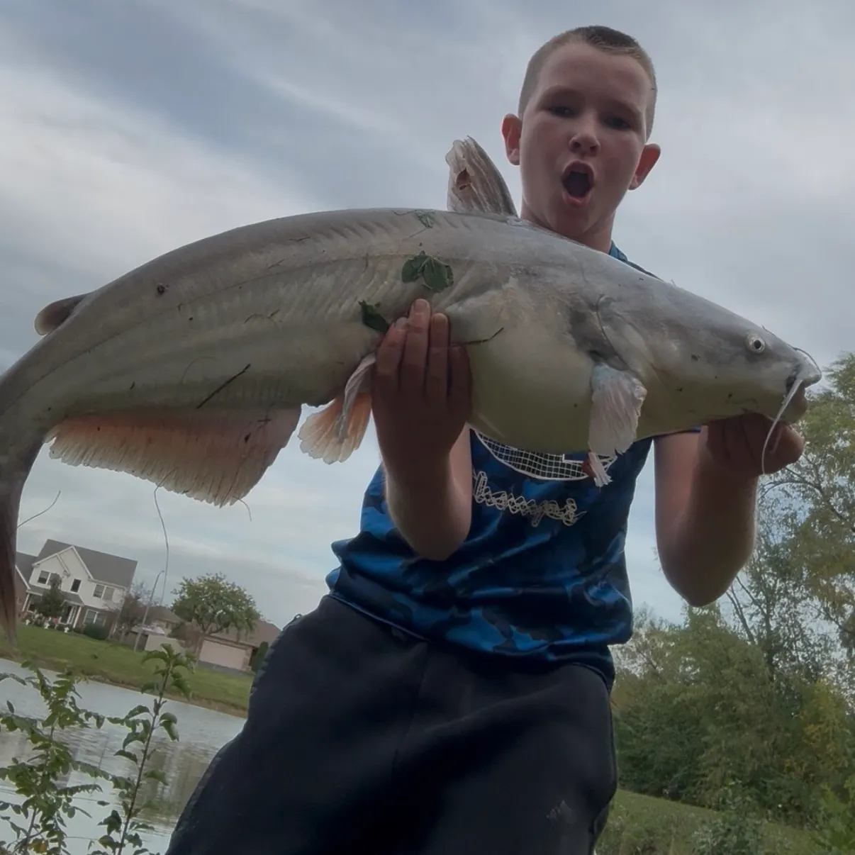 Blue catfish caught on Fishbrain
