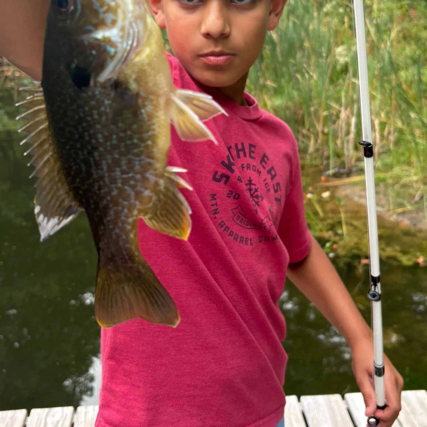 recently logged catches