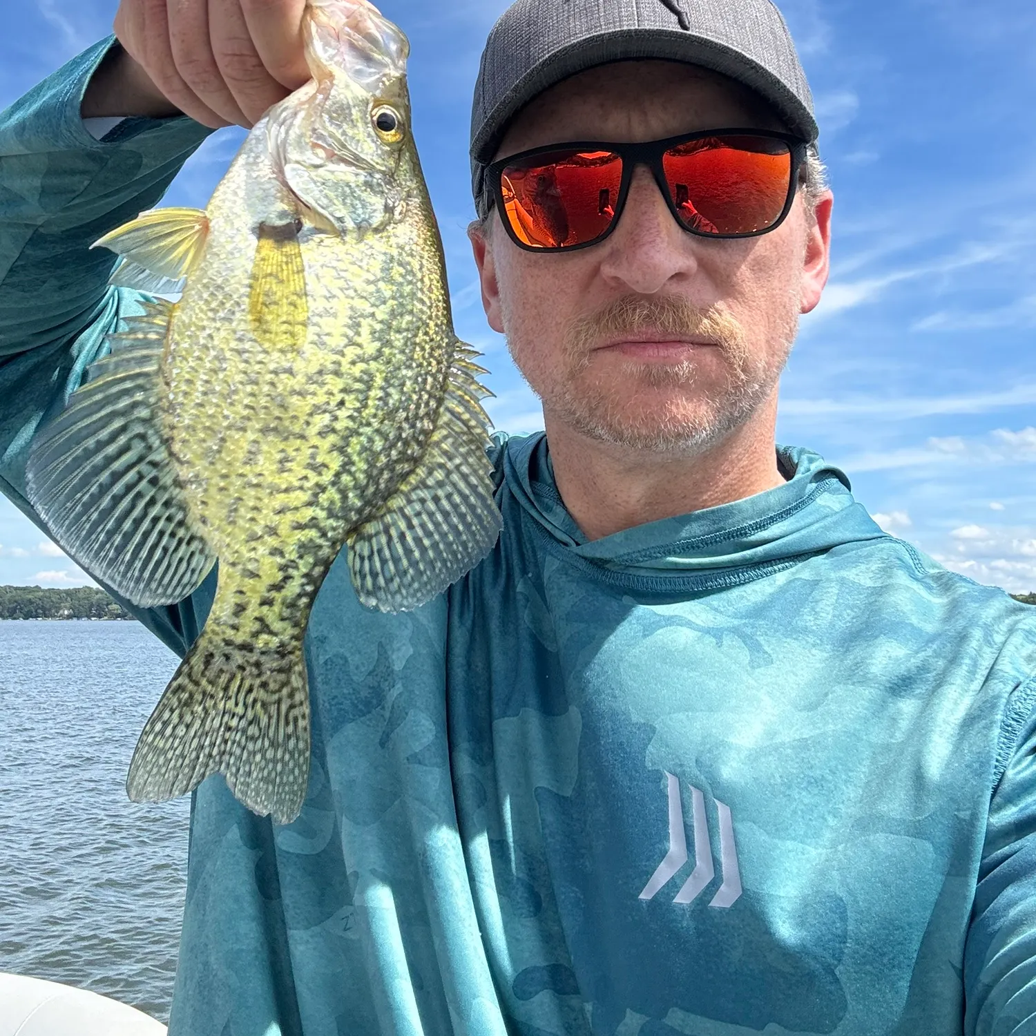Black crappie caught on Fishbrain