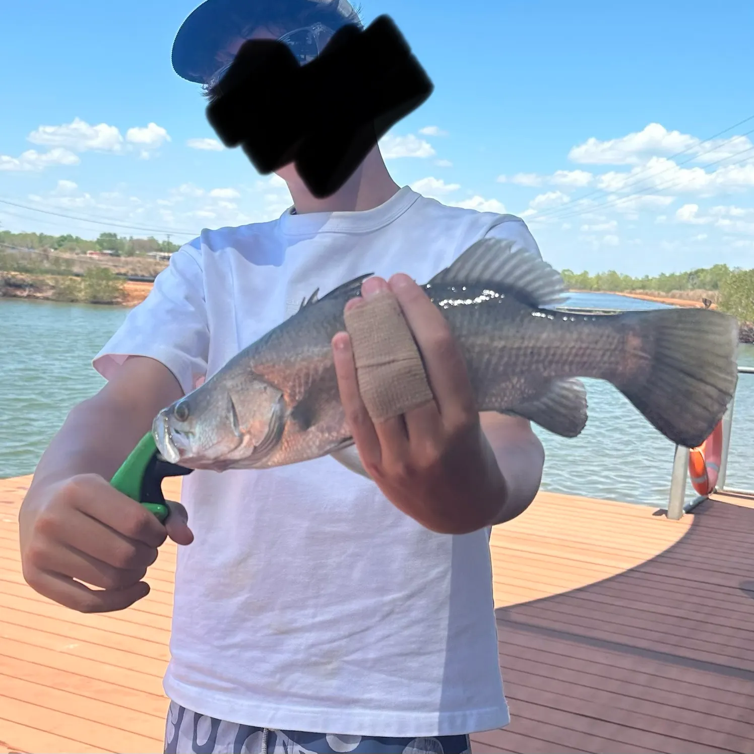 The most recent Barramundi catches on Fishbrain