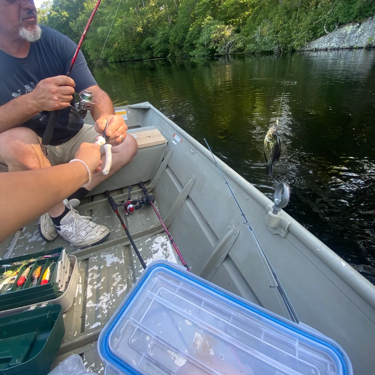 Black crappie caught on Fishbrain