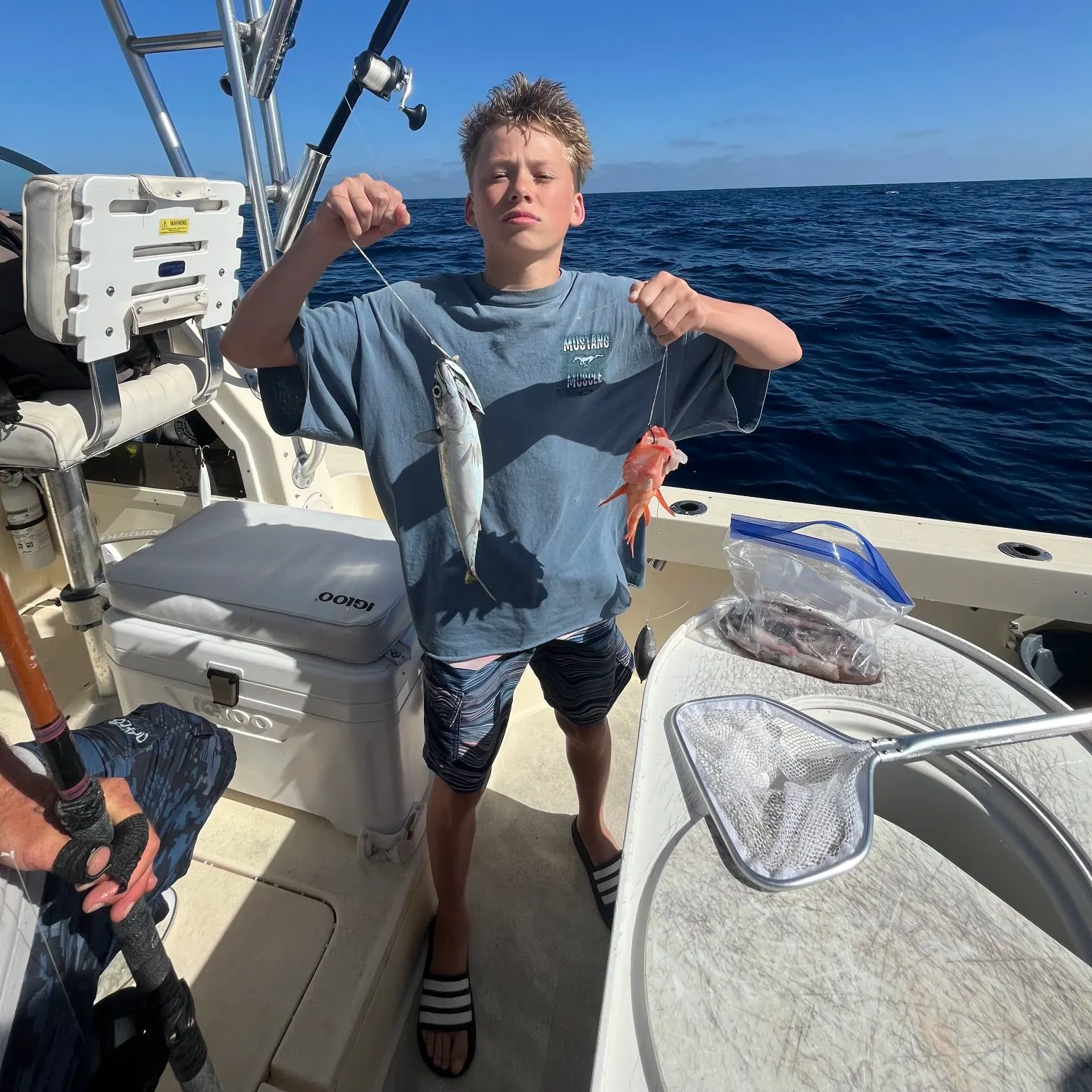 The most recent Pacific chub mackerel catches on Fishbrain