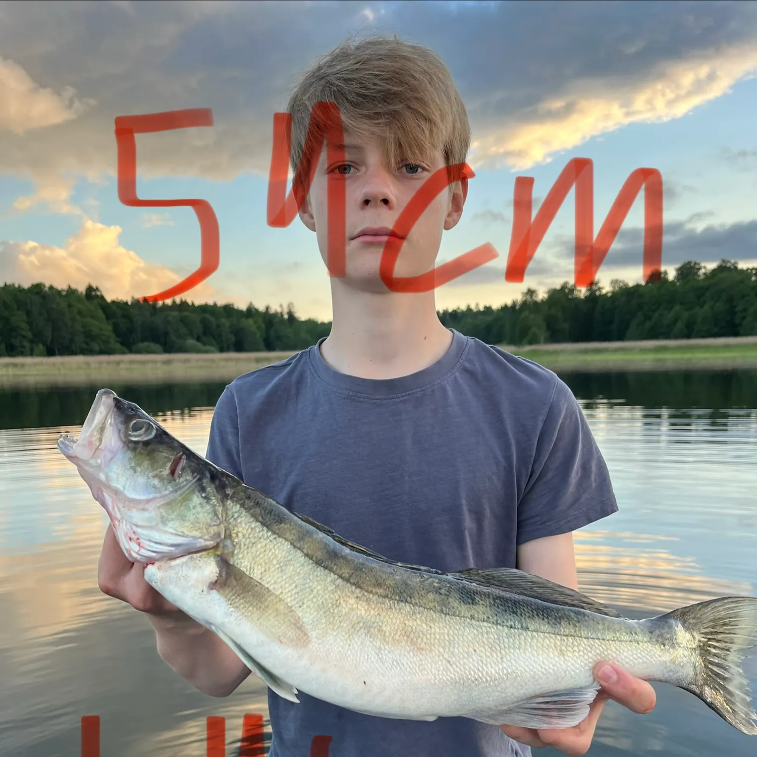 The most recent Zander catches on Fishbrain