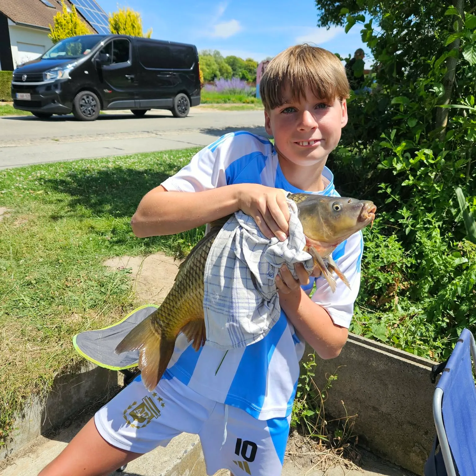 Common carp caught on Fishbrain