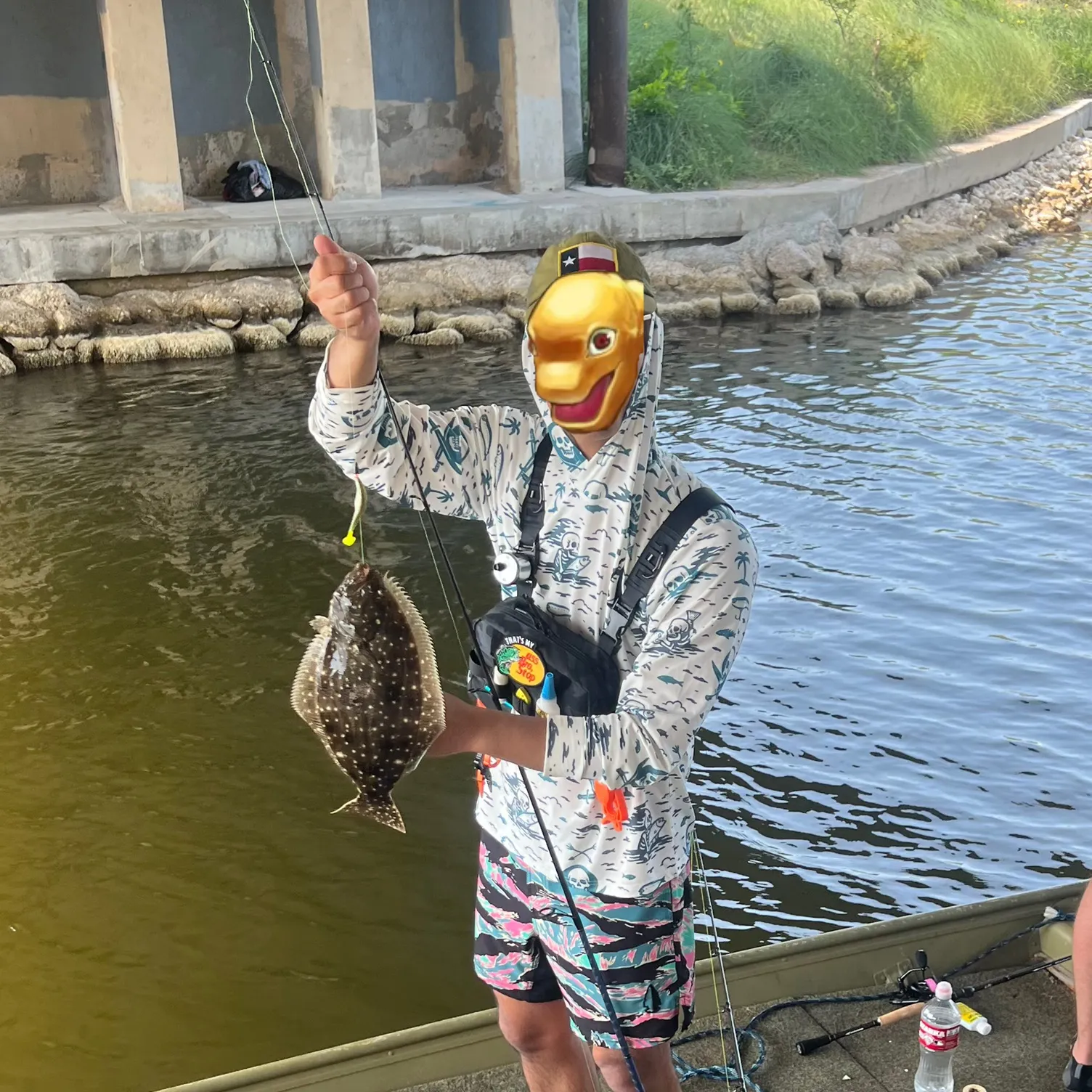 The most recent Gulf flounder catches on Fishbrain