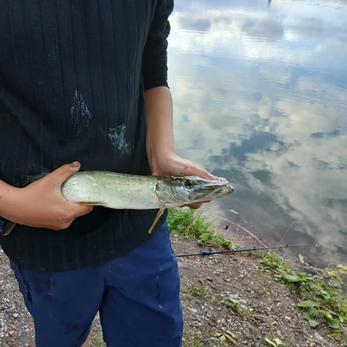 Northern pike caught on Fishbrain