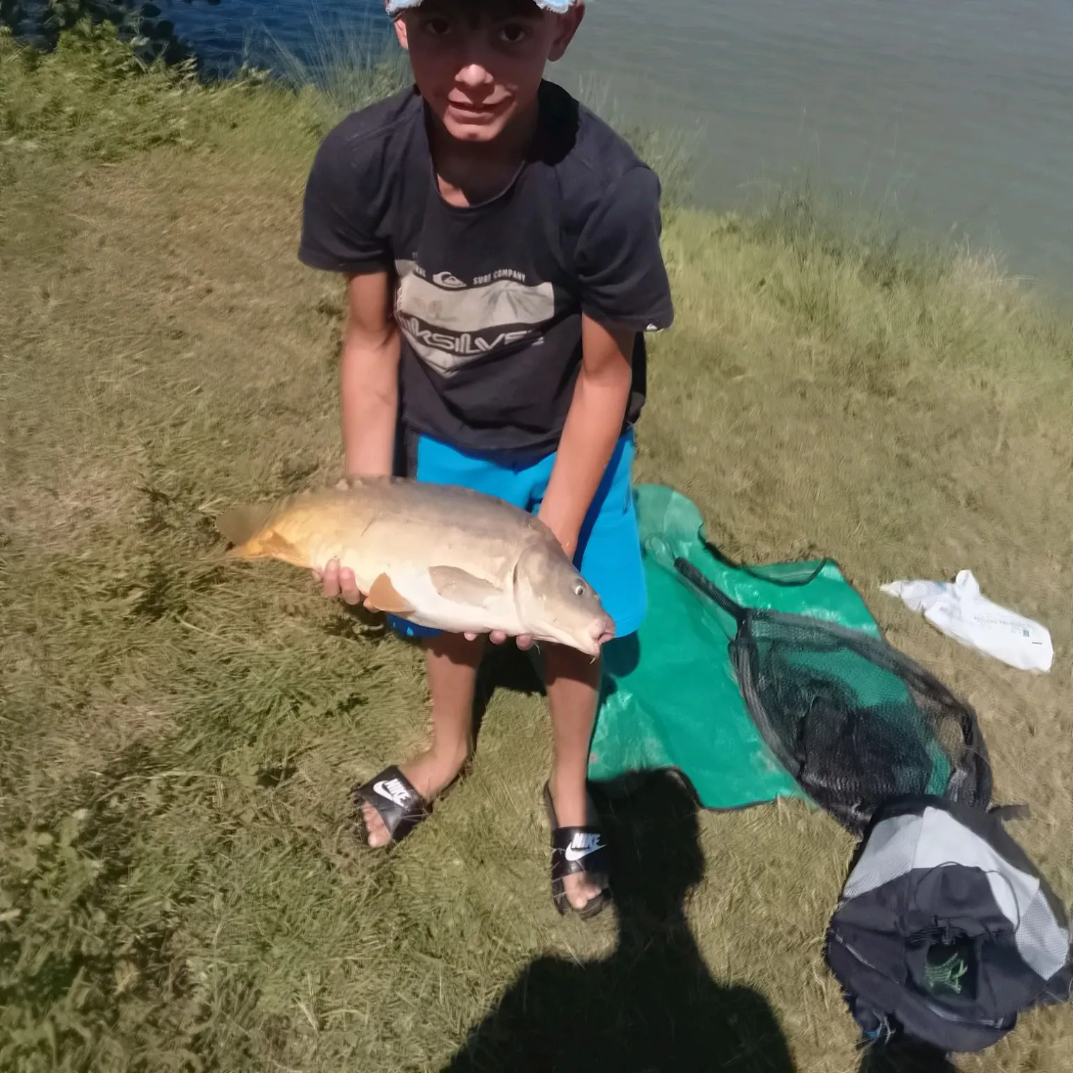 Mirror carp caught on Fishbrain
