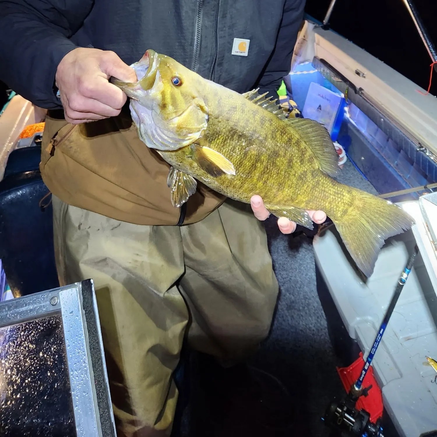 recently logged catches